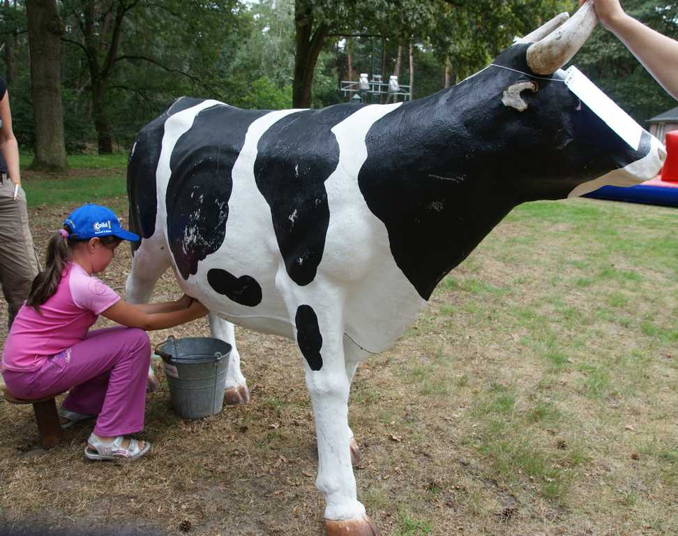 Koe melken Koe melken