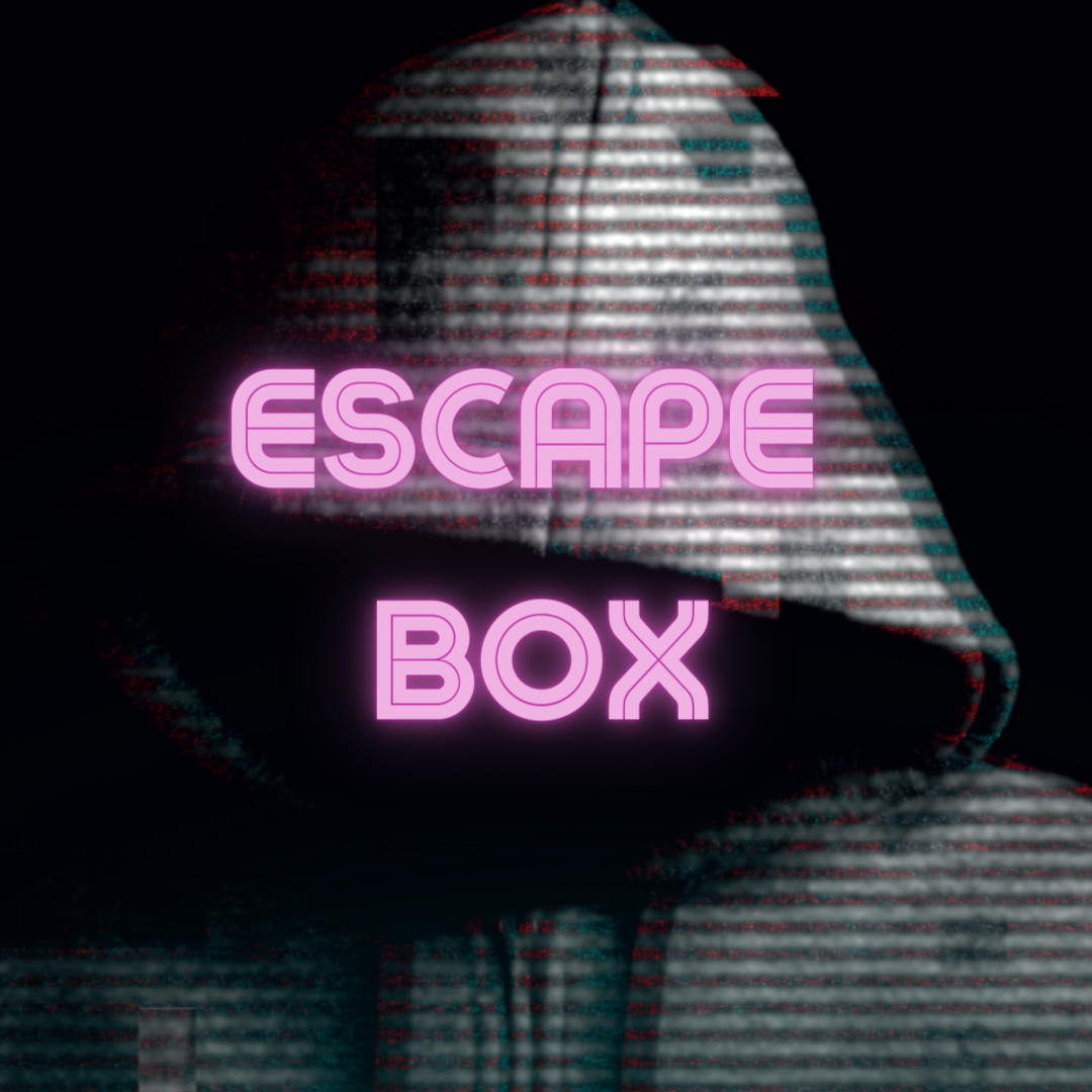 Escape Box teamspel voor 2-5 personen, spannend en interactief bij Boerderij Sallandshoeve.